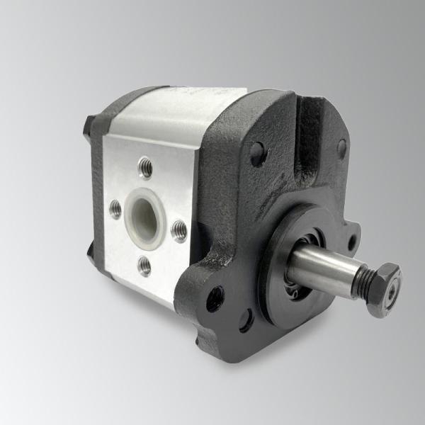 Agricultural Pumps